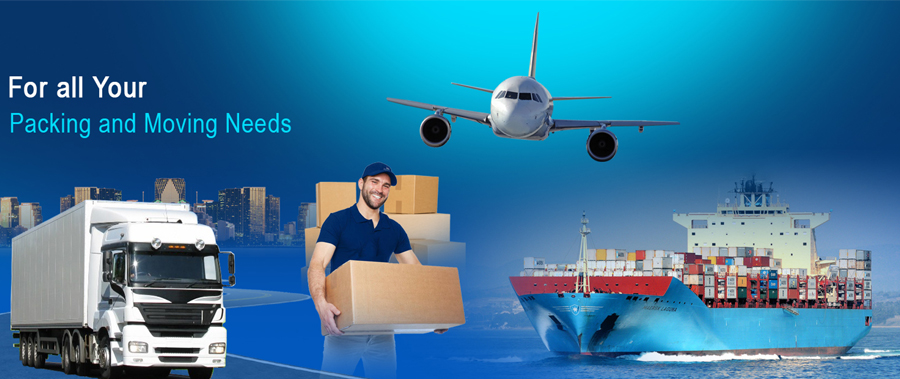 DTC Packers & Movers Delhi NCR